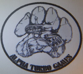 ALPHA TURBO GAMES