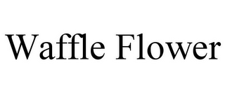 WAFFLE FLOWER