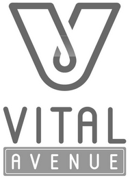 V VITAL AVENUE