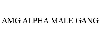 AMG ALPHA MALE GANG