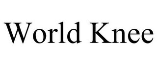 WORLD KNEE