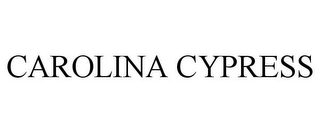 CAROLINA CYPRESS