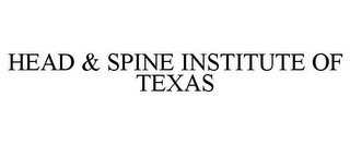 HEAD & SPINE INSTITUTE OF TEXAS