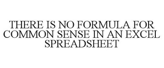 THERE IS NO FORMULA FOR COMMON SENSE IN AN EXCEL SPREADSHEET