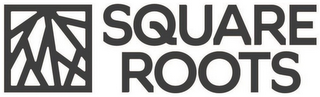 SQUARE ROOTS