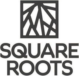 SQUARE ROOTS