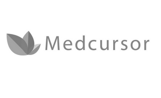 MEDCURSOR