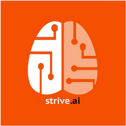 STRIVE.AI