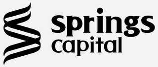 S SPRINGS CAPITAL