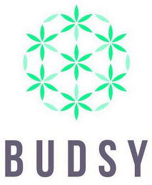 BUDSY