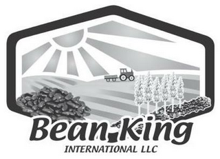 BEAN KING INTERNATIONAL LLC