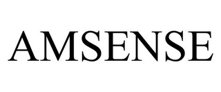 AMSENSE