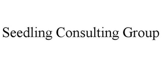 SEEDLING CONSULTING GROUP