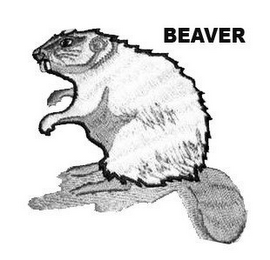 BEAVER