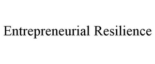 ENTREPRENEURIAL RESILIENCE