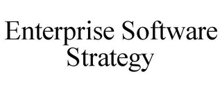 ENTERPRISE SOFTWARE STRATEGY