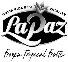 COSTA RICA BEST QUALITY LAPAZ FROZEN TROPICAL FRUITS