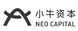 NEO CAPITAL