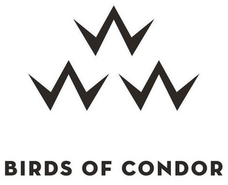 BIRDS OF CONDOR