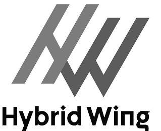 HYBRID WING
