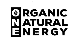 ORGANIC NATURAL ENERGY