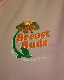 BREAST BUDS LLC LAWN LANDSCAPING SERVICE