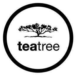 TEA TREE