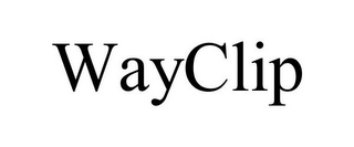 WAYCLIP