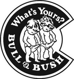 BULL & BUSH WHAT'S YOURS?