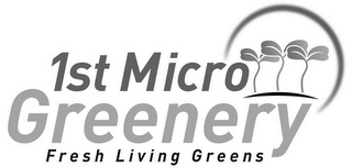 1ST MICRO GREENERY FRESH LIVING GREENS