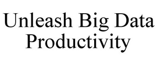 UNLEASH BIG DATA PRODUCTIVITY