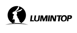 LUMINTOP