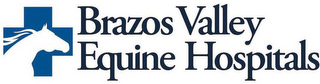 BRAZOS VALLEY EQUINE HOSPITALS
