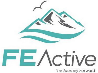 FE ACTIVE