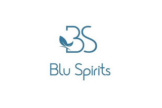 BS BLU SPIRITS