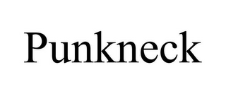 PUNKNECK