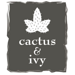 CACTUS & IVY