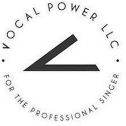 · V VOCAL POWER LLC · FOR THE PROFESSIONAL SINGER