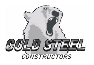 COLD STEEL CONSTRUCTORS