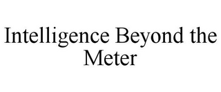 INTELLIGENCE BEYOND THE METER