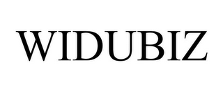 WIDUBIZ