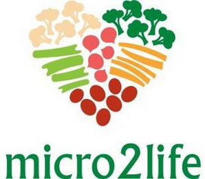 MICRO2LIFE