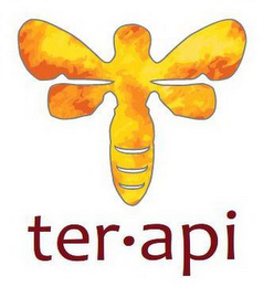 TERAPI