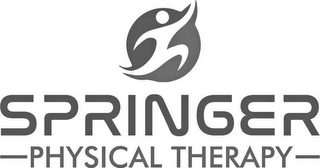 SPRINGER - PHYSCIAL THERAPY -