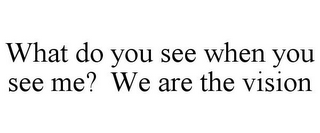 WHAT DO YOU SEE WHEN YOU SEE ME? WE ARE THE VISION