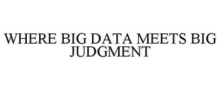 WHERE BIG DATA MEETS BIG JUDGMENT