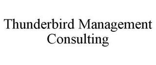 THUNDERBIRD MANAGEMENT CONSULTING