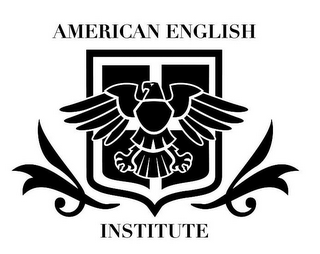 AMERICAN ENGLISH INSTITUTE