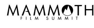 MAMMOTH FILM SUMMIT