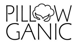 PILLOW GANIC